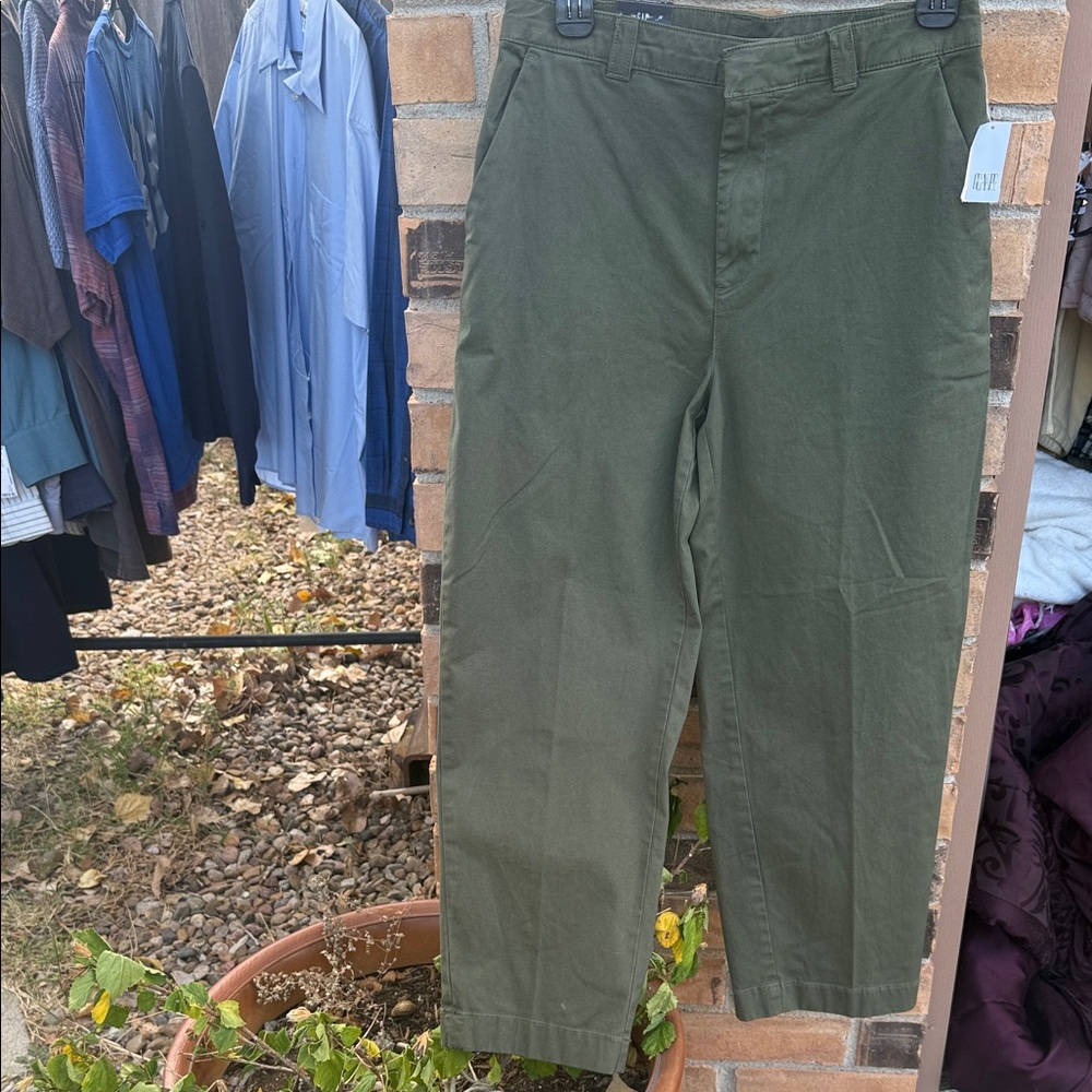 GAP Men's Olive Chinos